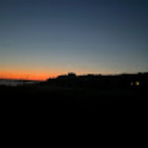 Meet your Posher, Zinnia